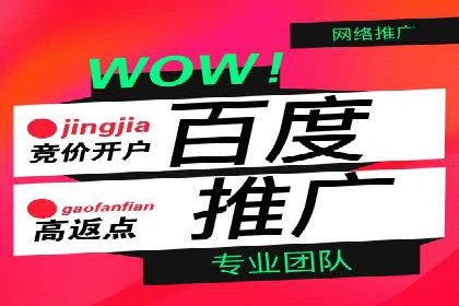 百度竞价开户技巧大揭秘：从入门到精通的案例教学